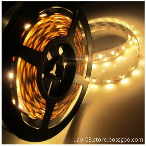 double row 120leds/m addressable 3528 led flexible strip